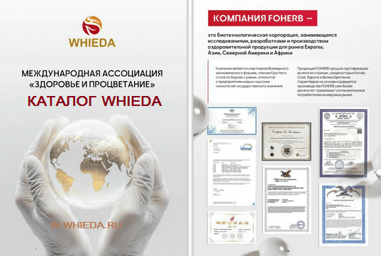 Каталог Виеда (Whieda) с ценами