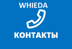 Whieda контакты