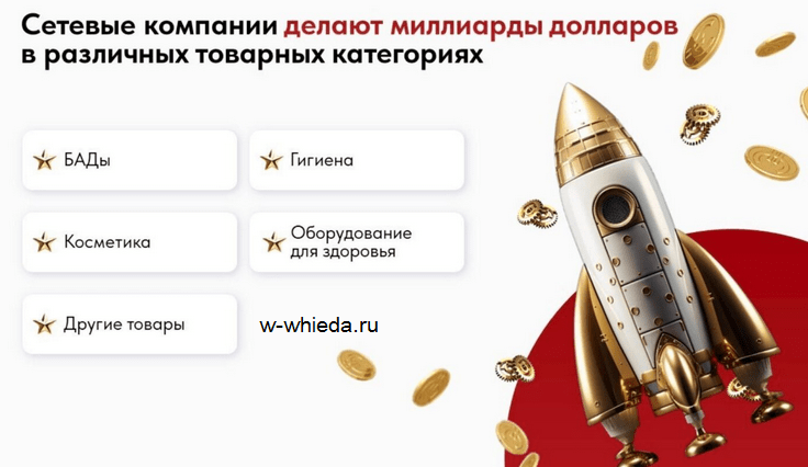 Презентация компании Виеда (Whieda)