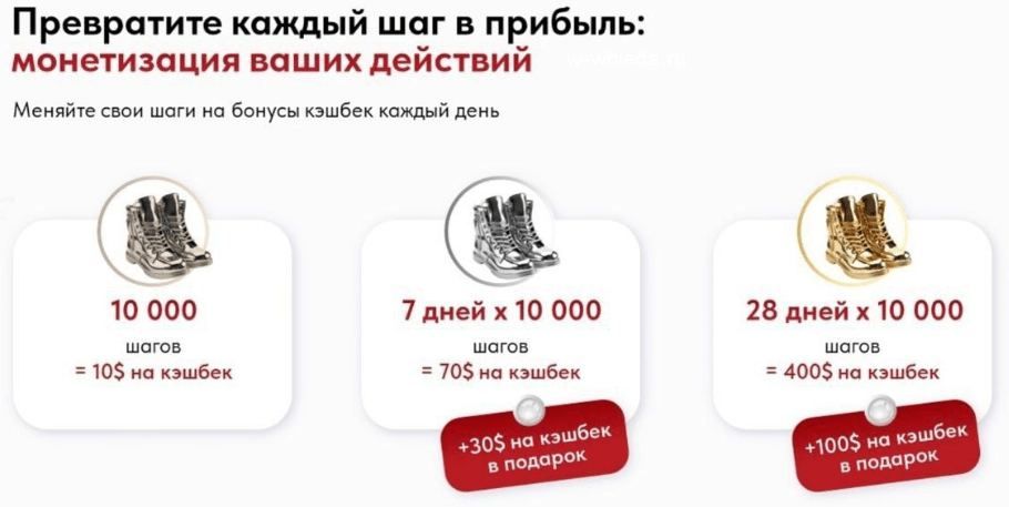 Шагомер Whieda