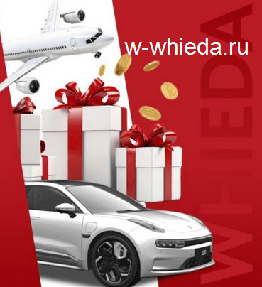 Презентация компании Виеда (Whieda)