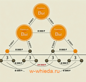 Золотой треугольник Виеда (Whieda) вход на бизнес