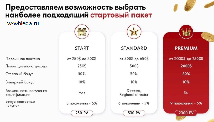 Пакеты сетевой компании Виеда