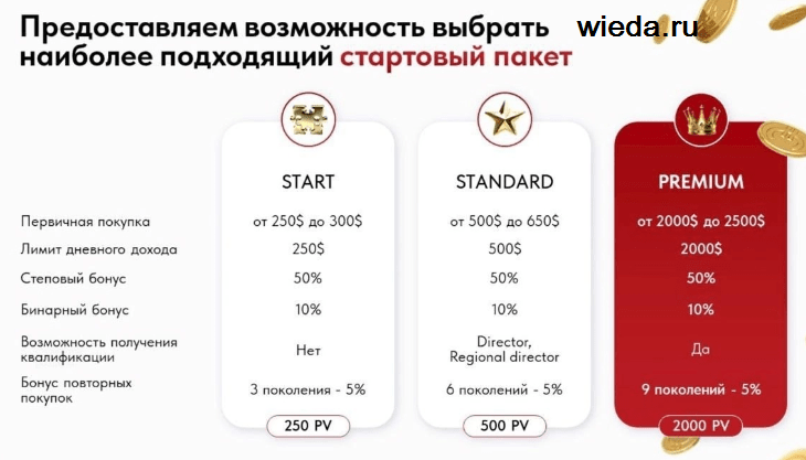 Whieda бизнес и форма доходов