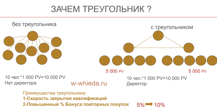 Whieda бизнес -золотой треугольник.